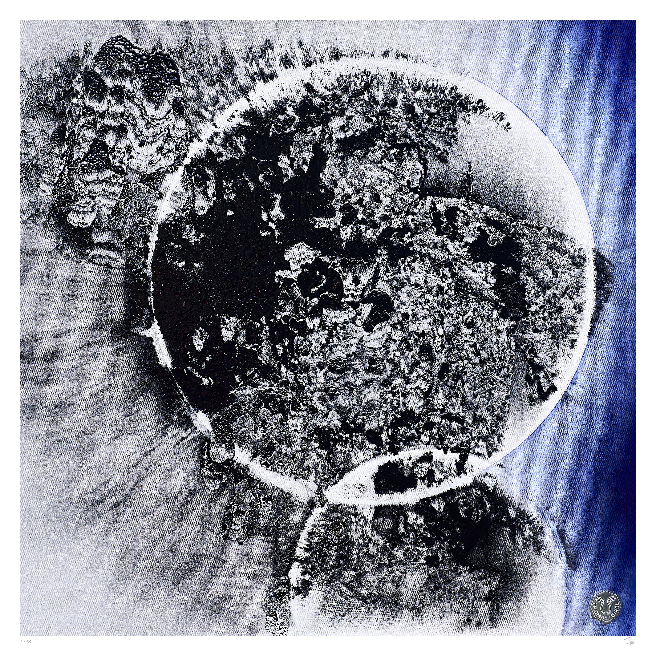 Collision of Opportunities Fine Art Edition frontal – fragmentierte, planetarische Form mit grauen Strukturen und leuchtendem Blau
