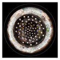 Lightphire circular abstract light artwork with textured surface and constellation-like elements, fine art print by Burningpictures