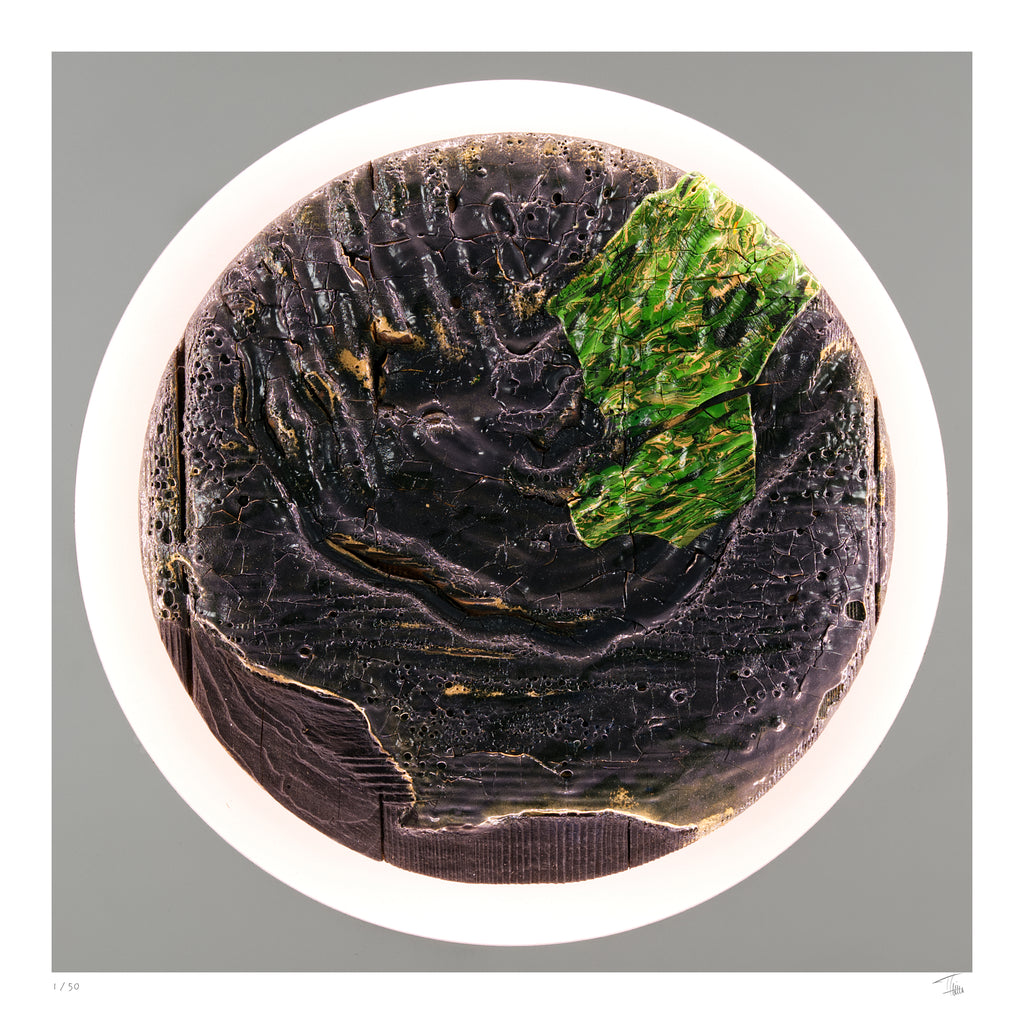 Silent Growth Fine Art Edition frontal – verbrannte Oberfläche mit leuchtenden grünen Strukturen