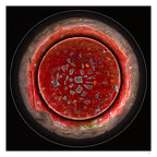 Simlight circular abstract light artwork with red textured surface and palladium fragments, fine art print by Burningpictures
