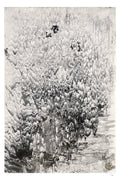 Solidified Fire Fine Art Edition frontal – monochrome, reliefartige Struktur wie erkaltete Lava