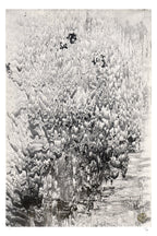 Solidified Fire Fine Art Edition frontal – monochrome, reliefartige Struktur wie erkaltete Lava
