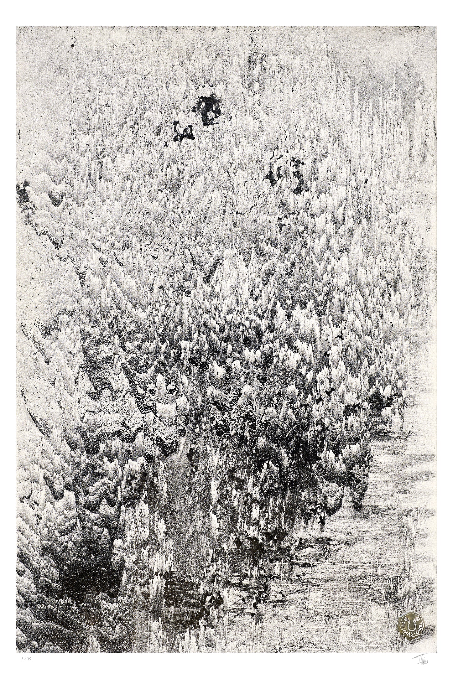 Solidified Fire Fine Art Edition frontal – monochrome, reliefartige Struktur wie erkaltete Lava