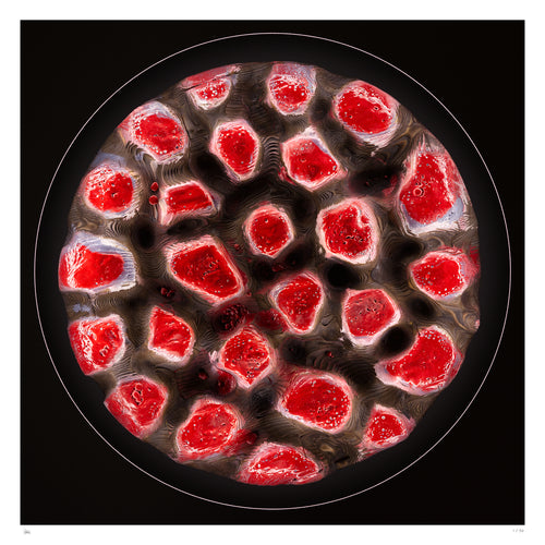 Arilight fine art print by Thomas Girbl – Burning Lightobject with glowing organic red structures