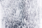 Detailansicht der strukturierten Oberfläche von Solidified Fire, Feuer und Pigment auf Leinwand